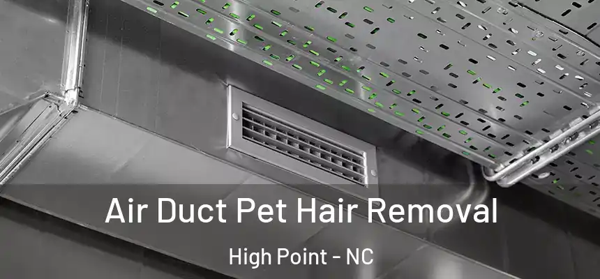  Air Duct Pet Hair Removal High Point - NC