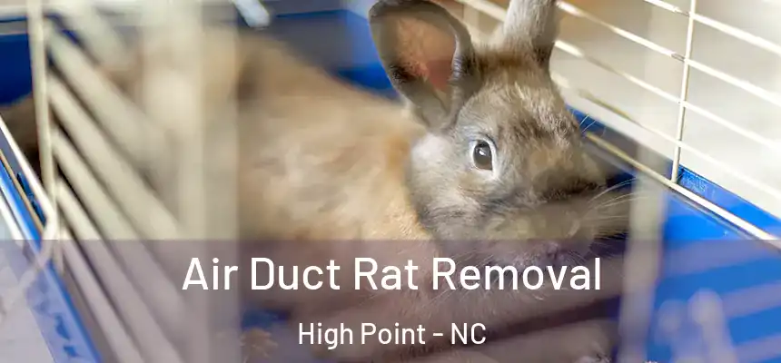  Air Duct Rat Removal High Point - NC