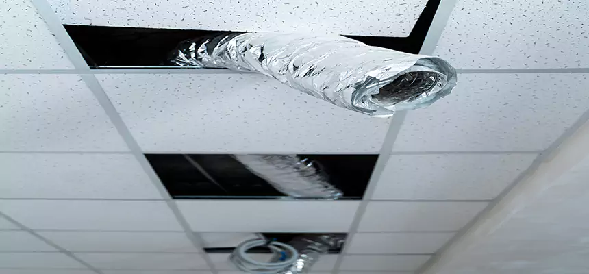 Affordable HVAC Sanitizing After Pest Removal in High Point