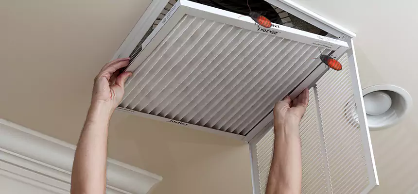 Our Insect Removal from Air Ducts Services in High Point, NC