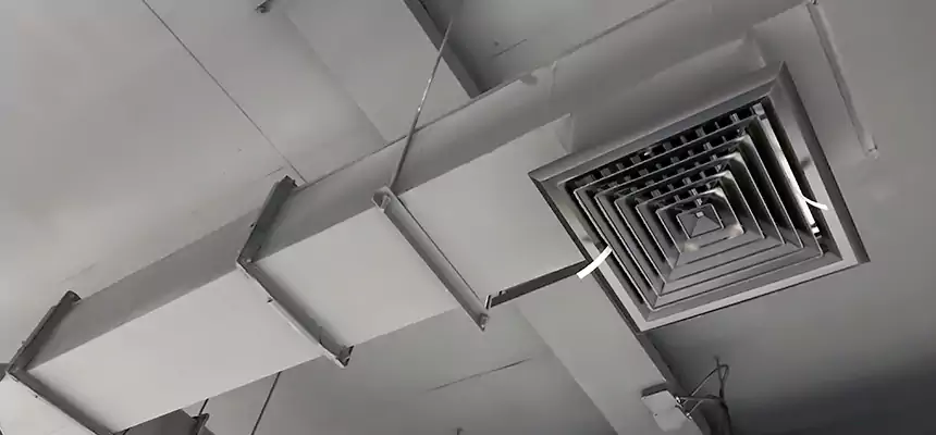 Our Rodent Droppings In Vents Services in High Point, NC