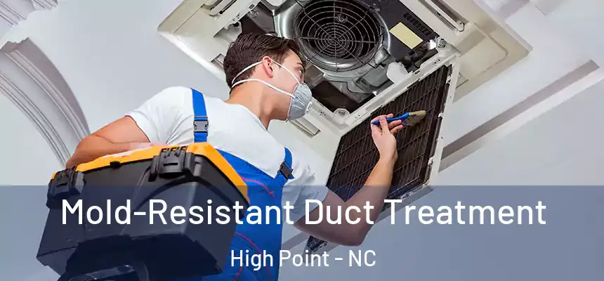  Mold-Resistant Duct Treatment High Point - NC