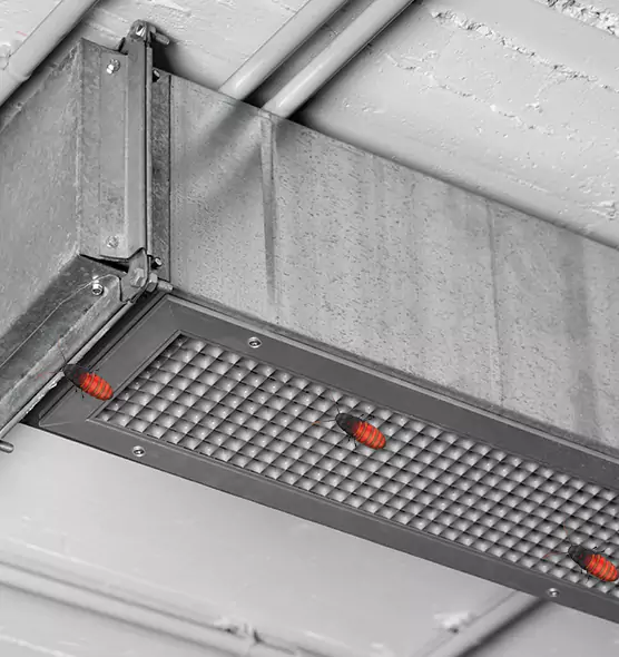 About Air Duct Cockroach Removal in High Point, NC