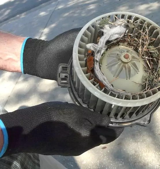 About Air Duct Mice Removal in High Point, NC