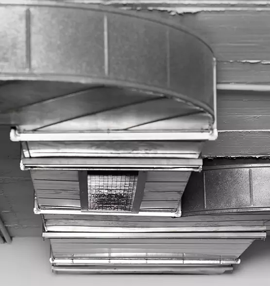 Professional Air Duct Pest Removal in High Point, NC