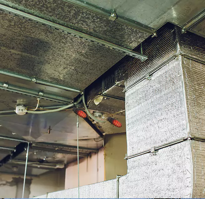 Why Homeowners & Businesses Trust Us in High Point, NC?