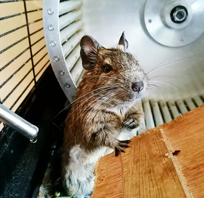 Why Homeowners & Businesses Trust Us High Point, NC